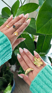 Anillos